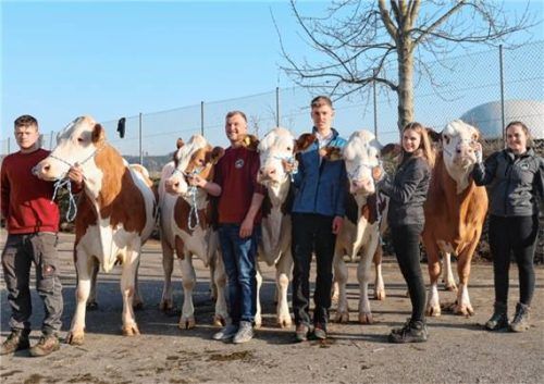 Die erfolgreichen Jungzüchter: (von links) Josef Seeböck, Sebastian Hocheder, Markus Wolfgruber, Anna-Lena Thaler, Lena Gstatter. Foto  Rinderzuchtverband Traunstein