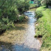 Die Isen soll wieder frei fließen können