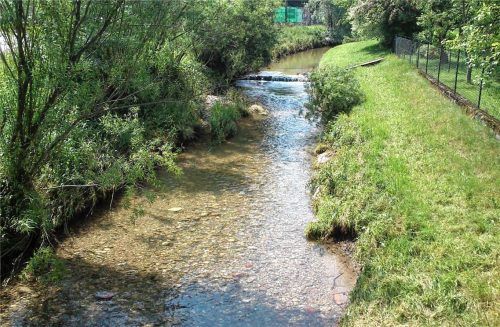 Die Isen soll wieder renaturiert werden. Projektträger ist das Wasserwirtschaftsamt München. Foto Dinger