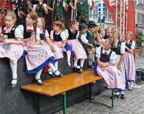 Die Kinder, Jugend und Aktiven der Innviertler beim Stadtfest in Rosenheim im vergangenen Jahr. Foto re