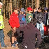 Wichtige Hölzer gepflanzt