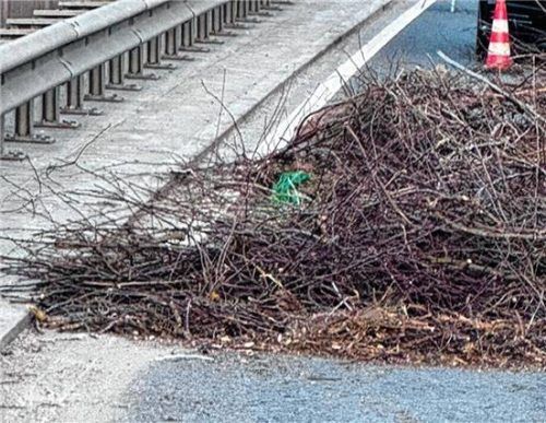 Die Ladung des Anhängers, der vor allem Zweige geladen hatte, verteilte sich über die Brücke. Fotos Barth