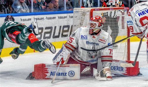 Ein Bild mit Symbolcharakter: Die Eisbären Regensburg um Torhüter Jonas Neffin brachten Lewis Zerter-Gossage und die Starbulls Rosenheim schon viermal zu Fall.Foto Peter Lion