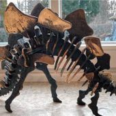 Auf dem Boden der Büchse ruht noch immer die Hoffnung