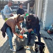 Ampfing „ramd wieda zam“