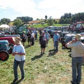 Voller Terminkalender bei den Raubtieren
