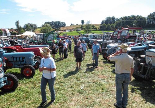 Gerne werden von den Mitgliedern der Eicher Raubtiere die Oldtimertreffen besucht.Foto  Stettner
