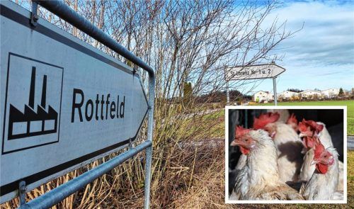 Hat die Seuche in unmittelbarer Umgebung Auswirkungen auf die Produktion von Ovofit im Gewerbegebiet Rottfeld? Die Firmenleitung gibt zunächst Entwarnung.Fotos  Enzinger/dpa