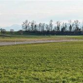 Überraschende Anfrage aus Salzburg