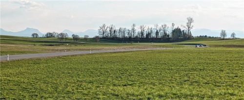 In diesem Bereich von Alteiselfing aus gesehen soll der Mobilfunkmast entstehen. Foto Burlefinger