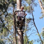 Bieber ist im Revier sehr umtriebig