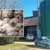 Die Sorge vor einer neuen Epidemie wächst