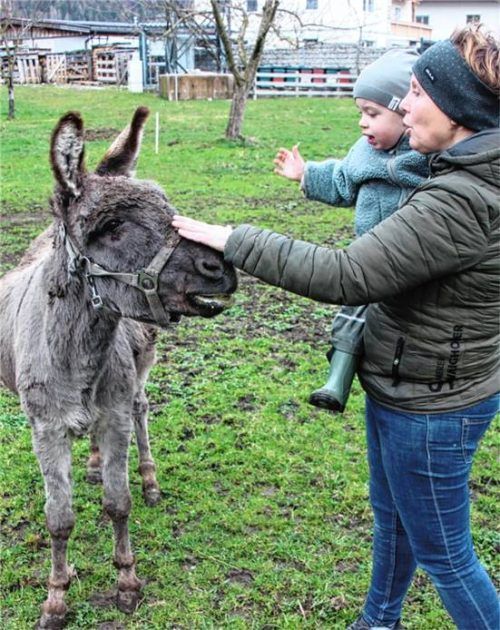 Leo gehört zur Familie: Silvia Schwaiger und Enkel Paul auf dem Riedlhof in Erl. Foto Poll