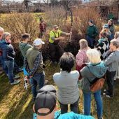 Gehölzschnitt an Sträuchern demonstriert