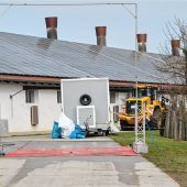 Newcastle-Krankheit: 30.000 Hähnchen gekeult