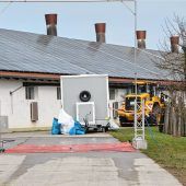 Newcastle-Krankheit: 30.000 Hähnchen gekeult