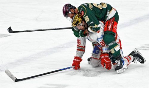 Packen die Starbulls Rosenheim im sechsten Vergleich der Saison gegen Regensburg endlich zu? Hier schnappt sich Leon van der Linde den Eisbären-Goldhelm Corey Trivino.Foto Hans-Jürgen Ziegler