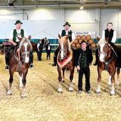 Rosenheimer Kaltblutzüchter stolz auf Erfolge