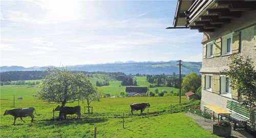 Sonnig: Bei urigen Höfe grasen die Kühe (gr. F.). Tipp: Hier im Baumhaus übernachten (r.).