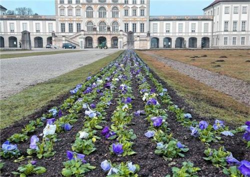 Tausende Blumen pflanzen die 15 Gärtner jetzt wieder in die Beete des Schlossparks. Foto Archiv leuthe