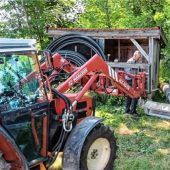 Komplizierte Jagd auf die Rabenkrähe