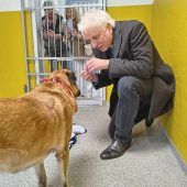 Tatort-Star  zu Besuch  im Tierheim