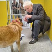 Tatort-Star  zu Besuch  ………….im Tierheim