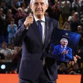 Der ewige Entwickler