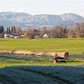 Arbeiten am Kolbermoorer Maibaum starten