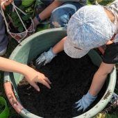 Obst- und Gartenbauverein gründet Jugendgruppe