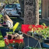Rottauer Gartenfreunde laden zum Pflanzentausch