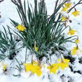 Der Winter ist zurück im Chiemgau