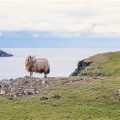 Mehr als nur Dublin: Irlands schönste Städte
