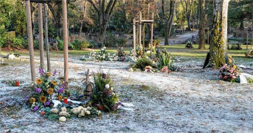 Alternative Bestattungsformen wie Wiesen- oder Baumgrabfelder werden immer beliebter. Auch auf dem Friedhof in Übersee soll es solche Bereiche künftig geben. Foto IMAGO /CHROMORANGE