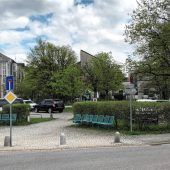 Sorge um Heckenschnitt in der Brutzeit