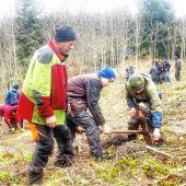 Firmlinge aus Prien und Bad Endorf pflanzen 200 Bäume