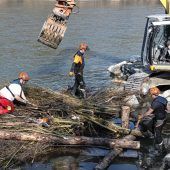 Ein Kindergarten für Jungfische
