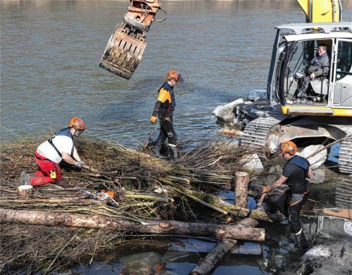 Arbeiten für das Überleben der Fische im Inn: Hier entsteht ein künstliches Gerüst aus Schwemmholz. Foto re