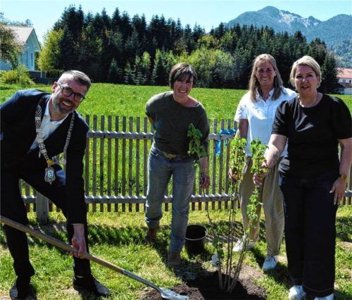 Beerensträucher zum Start: Als Geschenke zur Eröffnung brachte Bürgermeister Stefan Kattari Beerensträucher mit, die er mit (von links) Architektin Kathi Schmuck, der Kindergartenleiterin Heike Neumann-Kuß und Regionalleiterin Diakonie, Ulrike Blank, pflanzte. Foto Eder