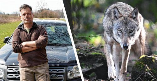 Beim Thema Wolf findet Bernhard Oberlechner in seiner Funktion als heimischer Jäger deutliche Worte.Foto dpa/pa