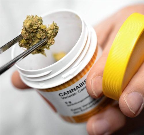 Cannabisblüte bei medizinischen Therapien einzusetzen, sehen Experten aus dem Inn-Salzach-Klinikum in Wasserburg kritisch. Foto dpa