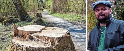 Das Eschentriebsterben greift seit Jahren auch im Landkreis Mühldorf um sich, auch an den Innauen (Bild links). Über die Ursachen und auch über die Gefahren spricht Kreisfachberater Stefan Zimmermann (Bild rechts) mit den OVB-Heimatzeitungen. Foto Josef Enzinger/Archiv
