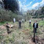 Soziale Aktion im Pfarrverband verbindet Glaube und Naturschutz