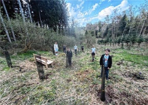 Das kleine Stückchen Wald darf nun wachsen. Foto  re