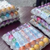 Geflügelseuche in der Region