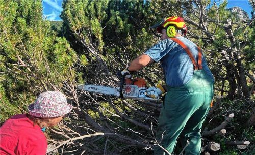 Der Landschaftspflegeverband konnte 2024 auf Almen im Almbezirk noch 56 Hektar und 19 Einzelflächen pflegen, im vergangenen Jahr wurden die Mittel stark reduziert. Pflegemaßnahmen waren nicht möglich. Fotos Mayr