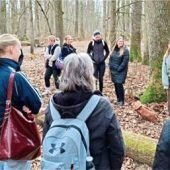 Perspektivwechsel im Forst