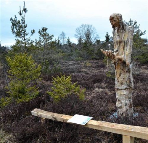 Die Filzenfee, eine Skulptur der Künstlerin Monika Stein, steht am Moorerlebnisweg. Foto Eder