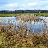 Pflegekonzept stärkt Hochwasserschutz
