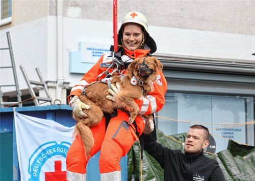 Ein Mitglied der BRK Rettungshundestaffel lässt sich mit Hund vom THW abseilen. Dieses Jahr ist auch die Rettungsstaffel Inntal dabei. Kinder können hier Rettungshunde durch einen extra aufgebauten Parcour führen.Fotos MK - Medien Rattenkirchen